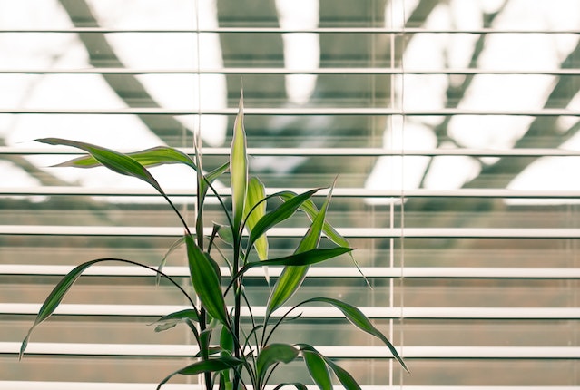 Nature's Harmony: Enhancing Wellbeing With Natural Therapy And Window Blinds & Shades